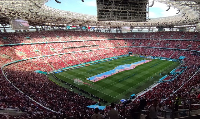 外援与内援 外援与内援