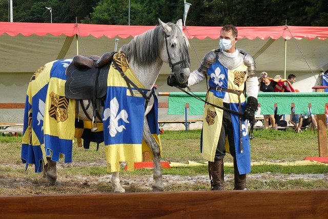 来了无数辉 来了无数辉