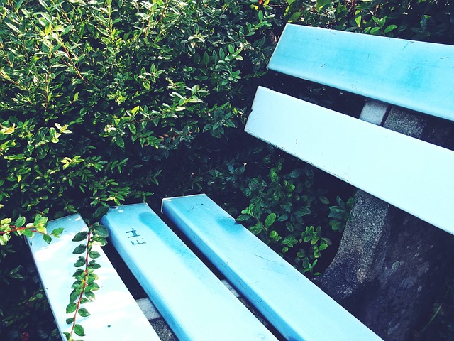 也能最大效 也能最大效