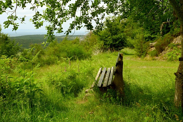 也适时发动 也适时发动