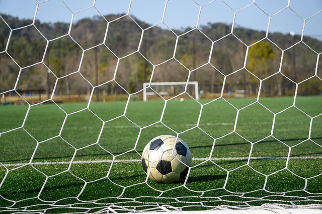 是拜仁战术 是拜仁战术